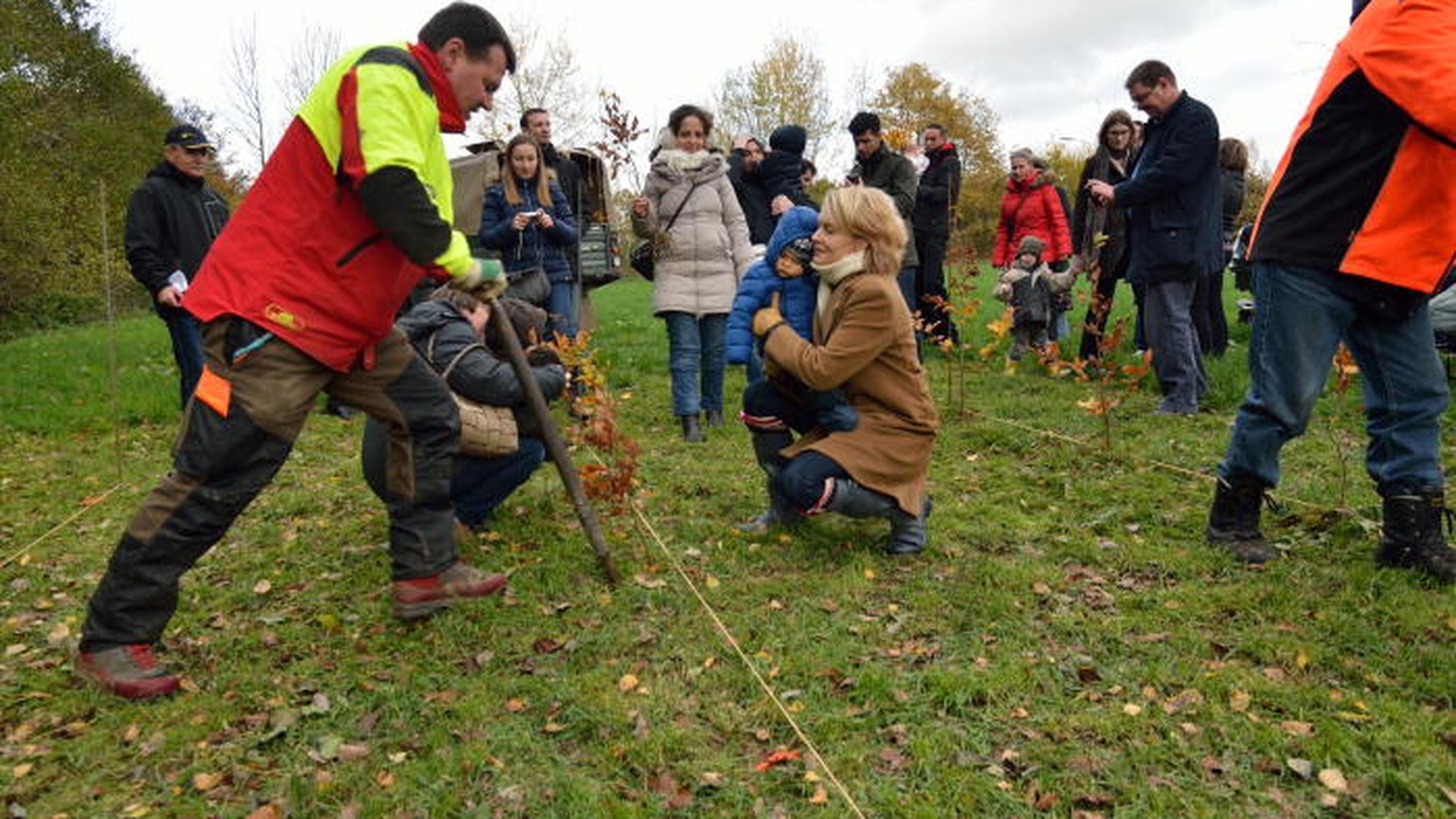 Das Land Pflanzt B Ume Luxemburger Wort